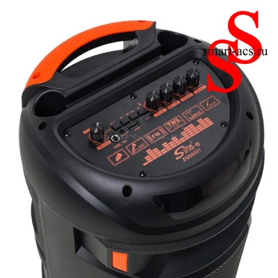 КОЛОНКА ZQS8221